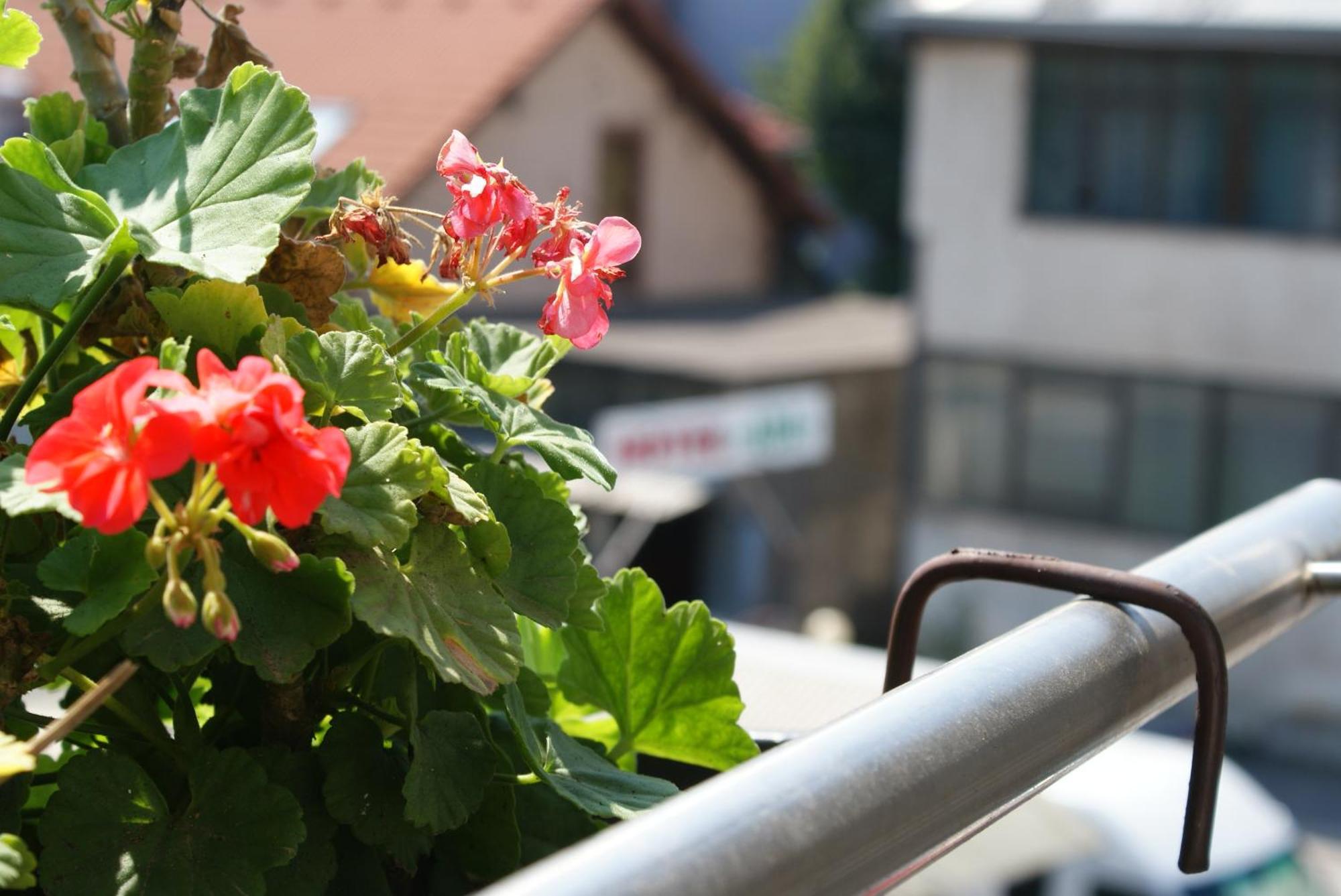Hotel Ada - Otoka ซาราเยโว ห้อง รูปภาพ